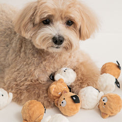 Omoomo Bad & Shiro Ball Dog Toys (Set of 2)