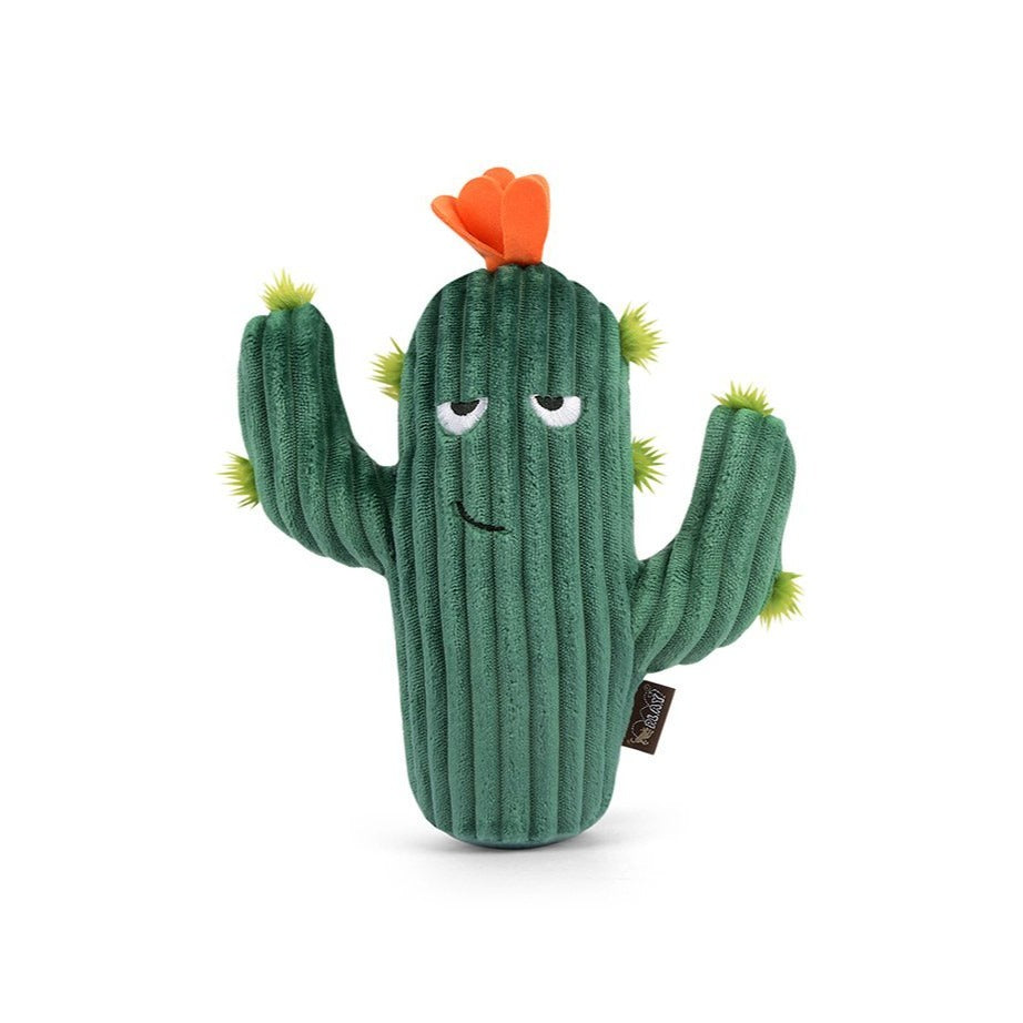 Blooming Buddies Dog Toy Prickly Pup Cactus The Tail Story