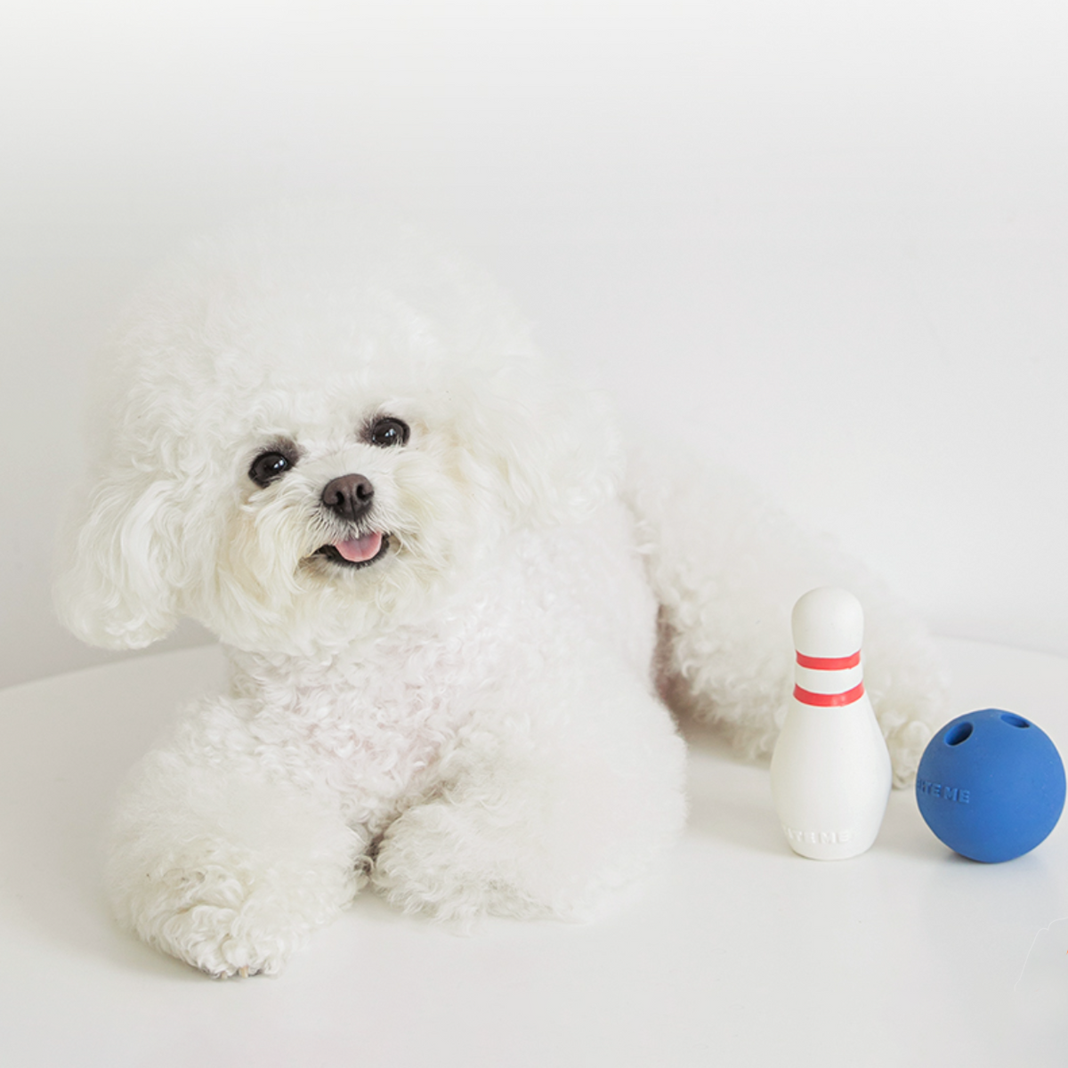 Fluffy ball outlet dog