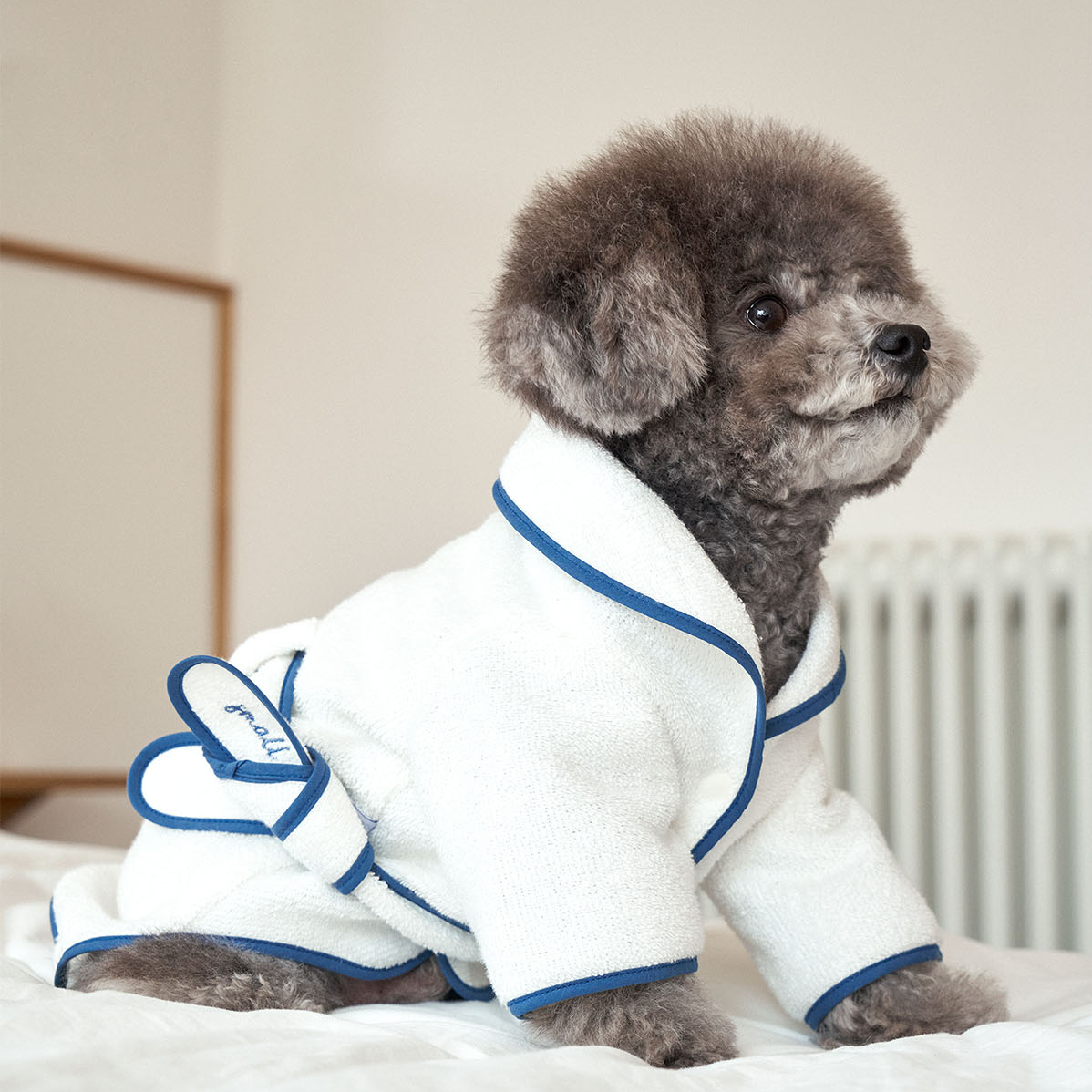 Dog in cheap a robe