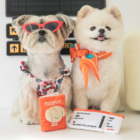 Passport & Flight Ticket Dog Toy Set