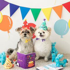 Happy Party Hats Dog Toy Set