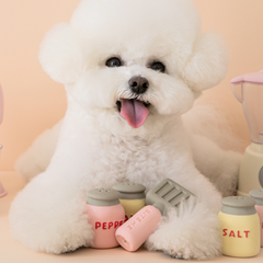 Latex Salt & Pepper Dog Toy Set