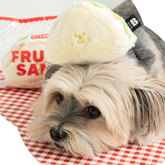 Fruit Sandwich Nosework Dog Toy