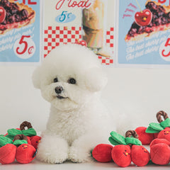 Cherries Tug Dog Toy