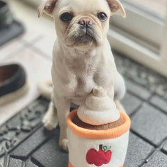 NomNomz® Dog Toy - Pumpkin Spice Latte