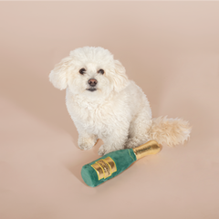 Champagne Bottle Dog Toy
