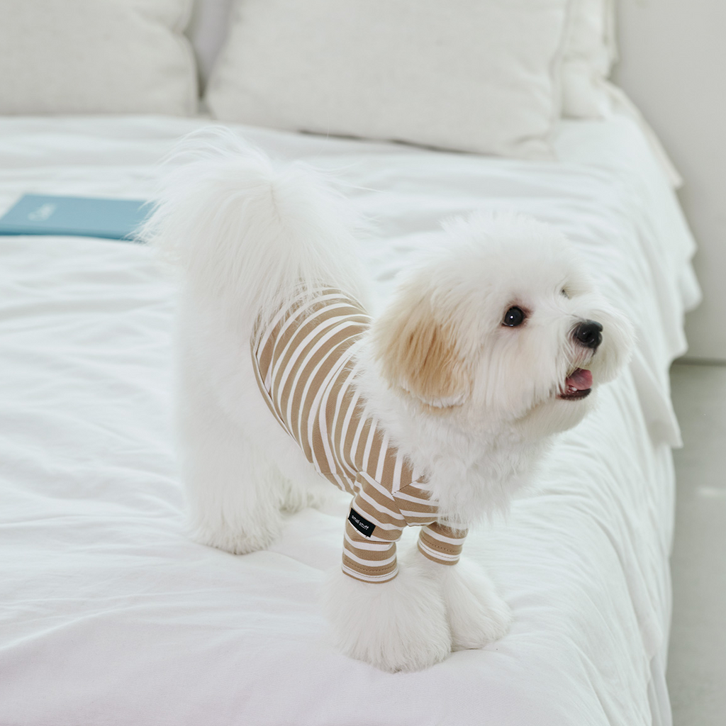 Striped Dog T Shirt Beige The Tail Story