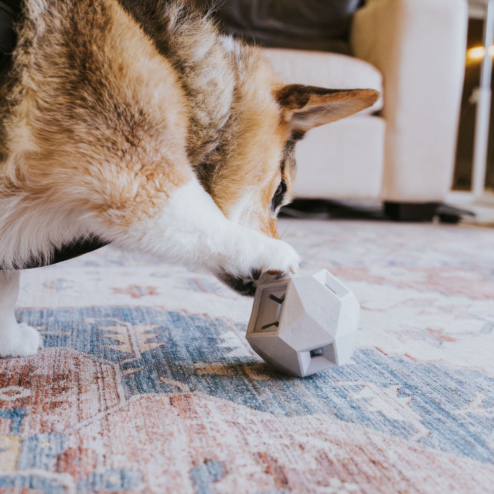Dog bone dispenser online