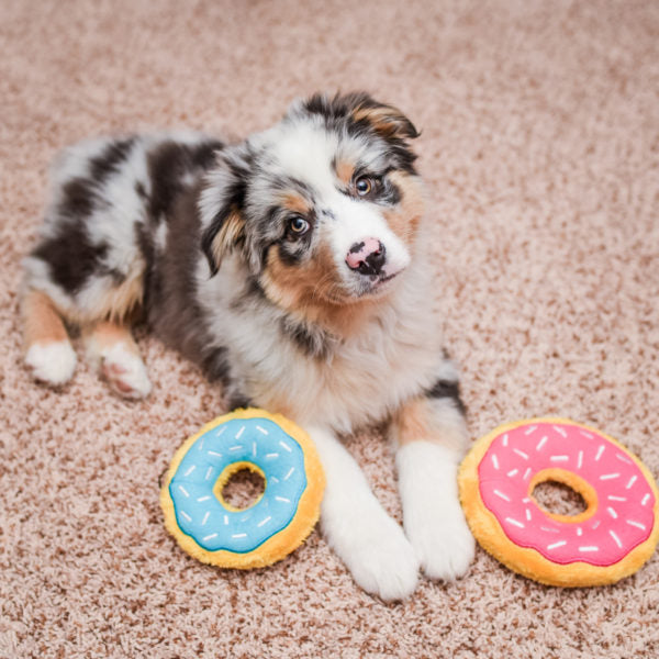 ZippyPaws Donutz Dog Toy Blueberry Mini