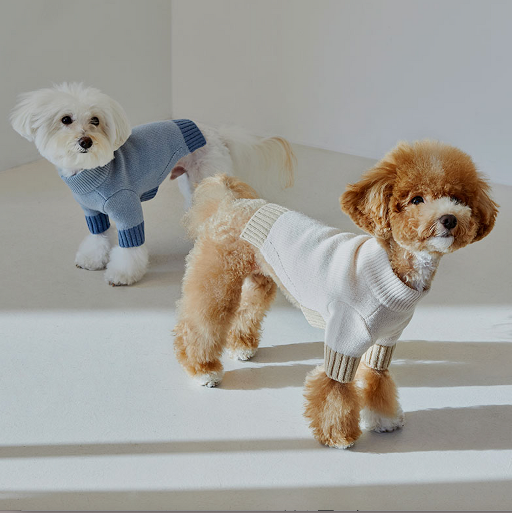 Tone on Tone Lambswool Dog Sweater Cream The Tail Story