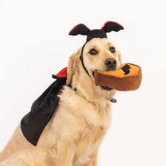 Halloween Dog Costume Kit & Toy - Dracula