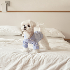 Cotton Dog Sleepwear Light Blue