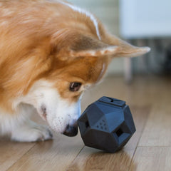 The Odin Dog Treat Dispenser Toy Slate Grey
