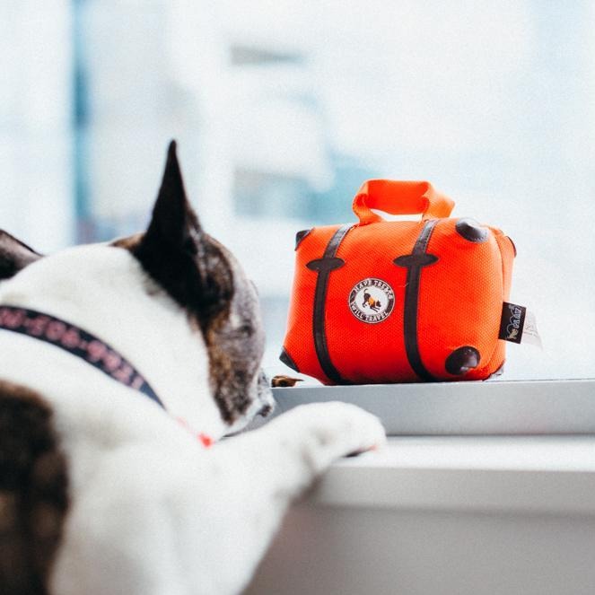 Puppy toy pack top