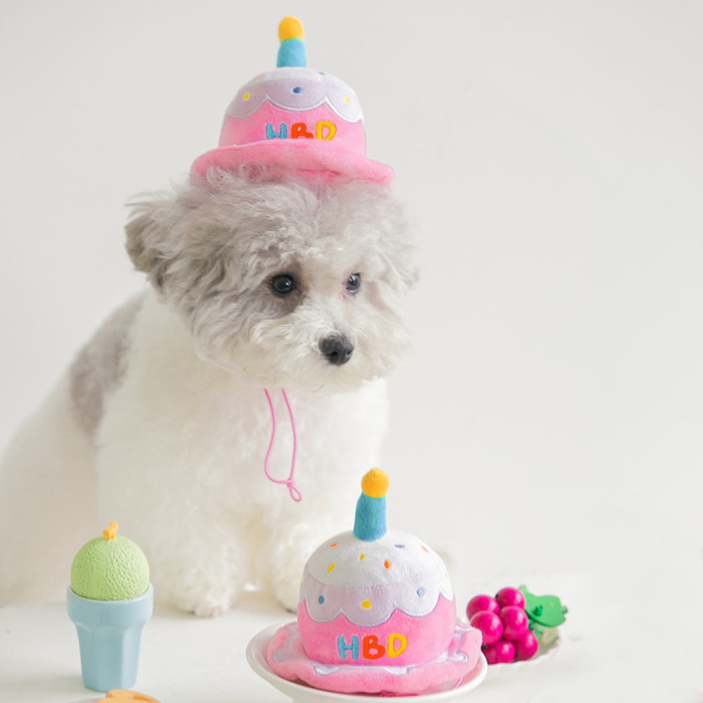Happy Birthday Cake Hat Dog Toy The Tail Story