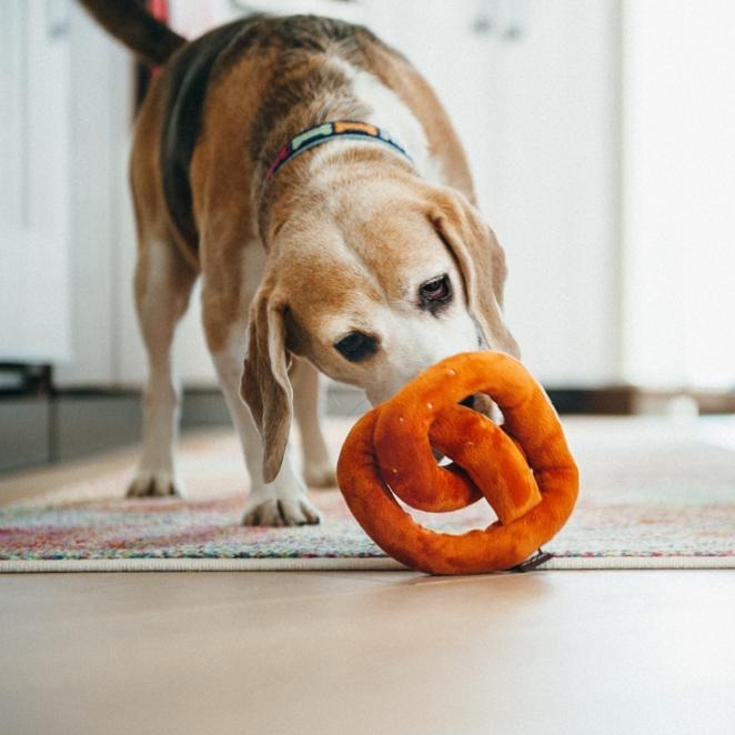 Pretzel Plush Dog Toy