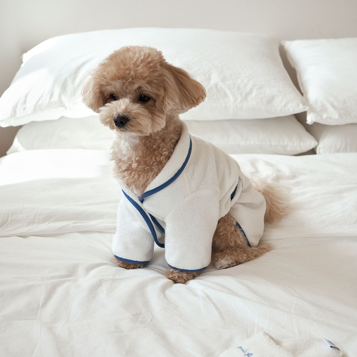 Bed bath and beyond dog clothes sales
