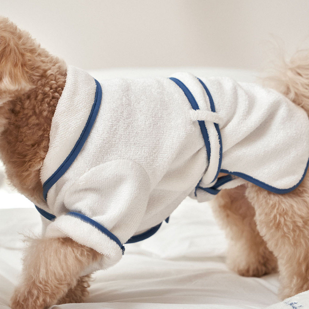 Hotel Collection Modal Dog Bath Robe The Tail Story