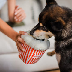 Hollywoof Cinema Dog Toy - Poppin' Pupcorn