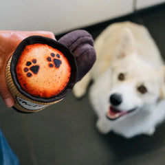 Pup Cup Café Dog Toy - Doggo's Java